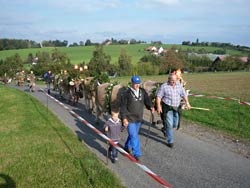 Viehschau 2009
