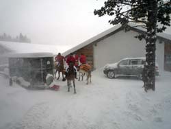 Schnee Fuchsjagd in St. Moritz